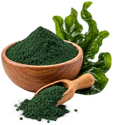 Espirulina en polvo, ingrediente de Glow Drink