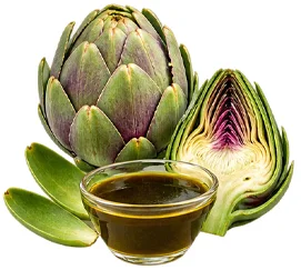 Extracto de alcachofa, ingrediente de Glow Drink